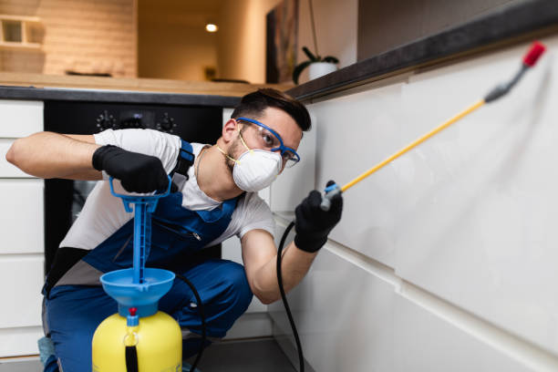 Best Affordable Pest Control Services  in Port Jefferson Station, NY