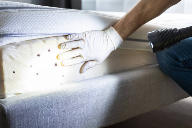 Best Pest Inspection Near Me  in Port Jefferson Station, NY