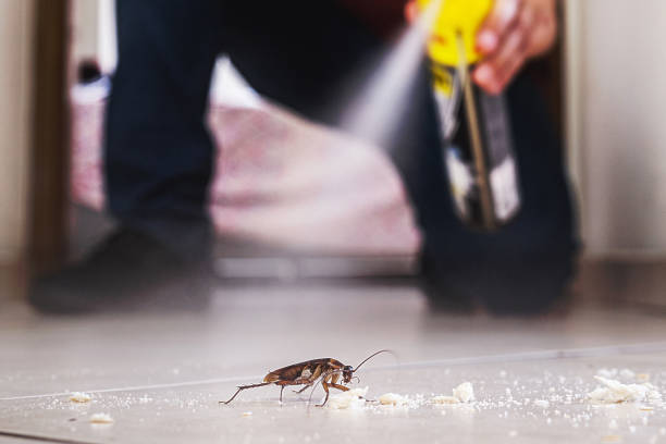 Best Emergency Pest Control  in Port Jefferson Station, NY